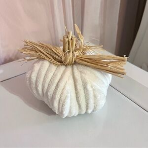 White Pumpkin small decor